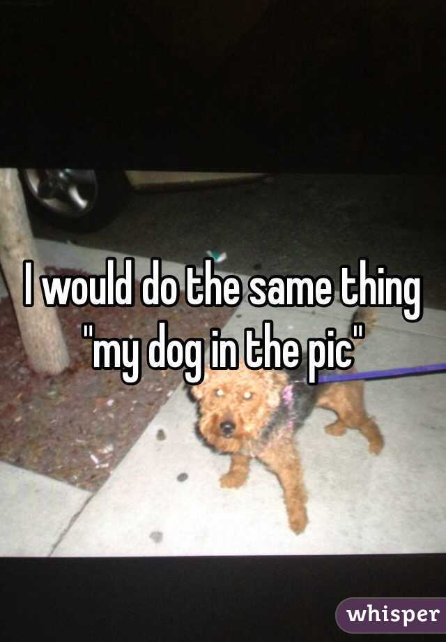 I would do the same thing "my dog in the pic"