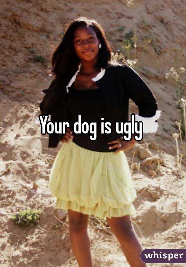 Your dog is ugly 