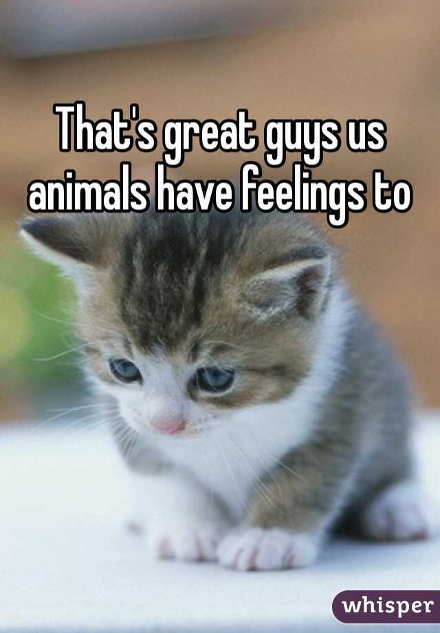 That's great guys us animals have feelings to 