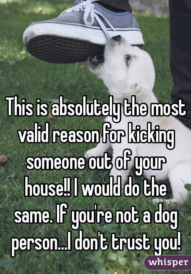 This is absolutely the most valid reason for kicking someone out of your house!! I would do the same. If you're not a dog person...I don't trust you!