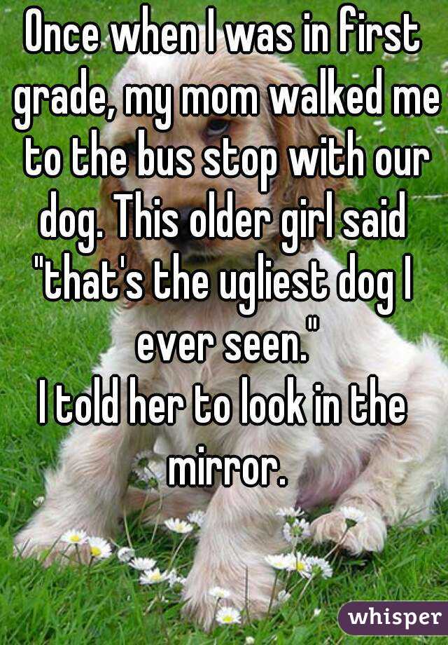 Once when I was in first grade, my mom walked me to the bus stop with our dog. This older girl said 
"that's the ugliest dog I ever seen."
I told her to look in the mirror.