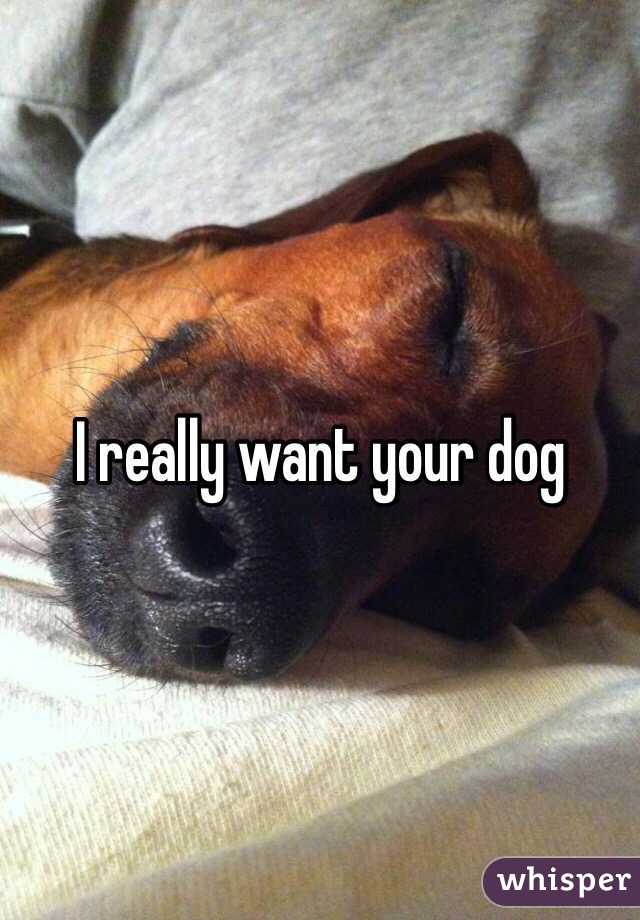 I really want your dog