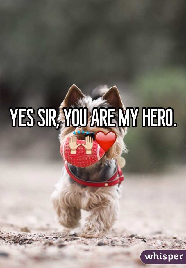 YES SIR, YOU ARE MY HERO. 🙌❤️