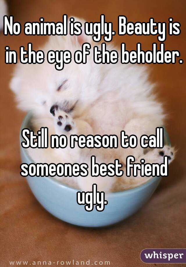 No animal is ugly. Beauty is in the eye of the beholder. 

Still no reason to call someones best friend ugly. 