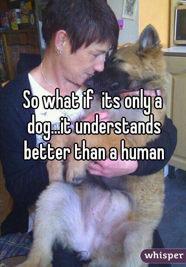 So what if  its only a dog...it understands better than a human