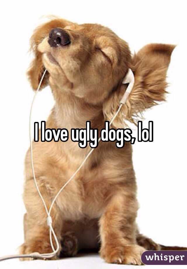 I love ugly dogs, lol