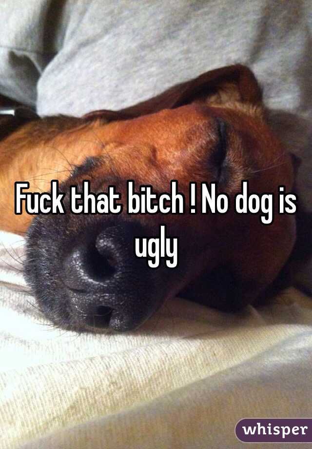 Fuck that bitch ! No dog is ugly 