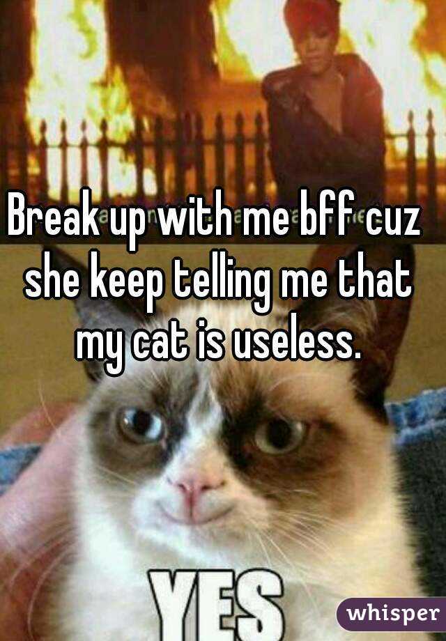 Break up with me bff cuz she keep telling me that my cat is useless.