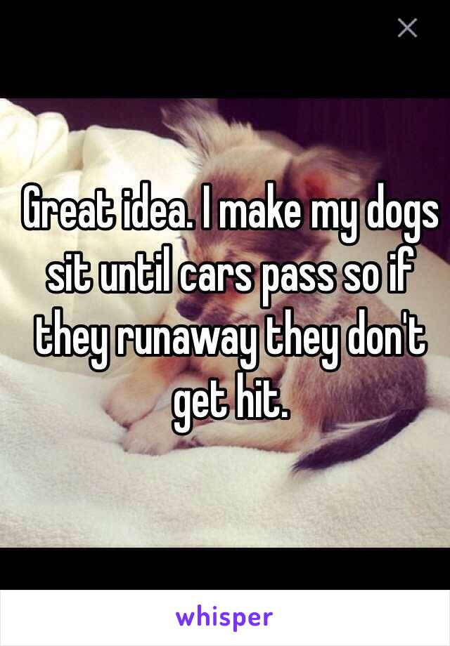 Great idea. I make my dogs sit until cars pass so if they runaway they don't get hit.