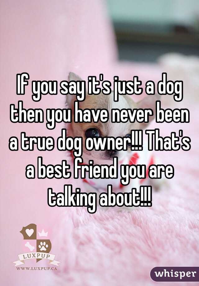 If you say it's just a dog then you have never been a true dog owner!!! That's a best friend you are talking about!!!