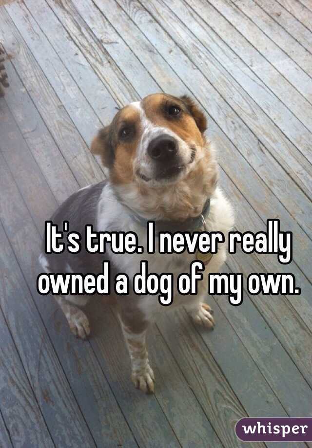 It's true. I never really owned a dog of my own.