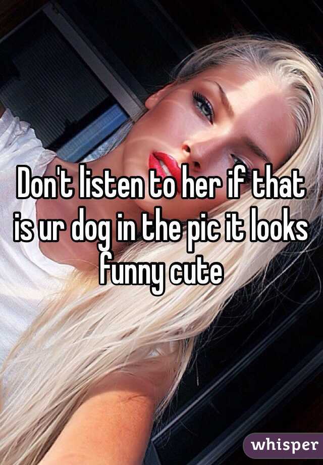 Don't listen to her if that is ur dog in the pic it looks funny cute