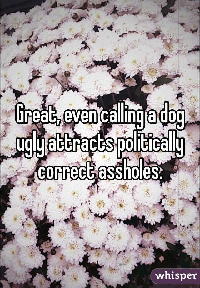 Great, even calling a dog ugly attracts politically correct assholes. 