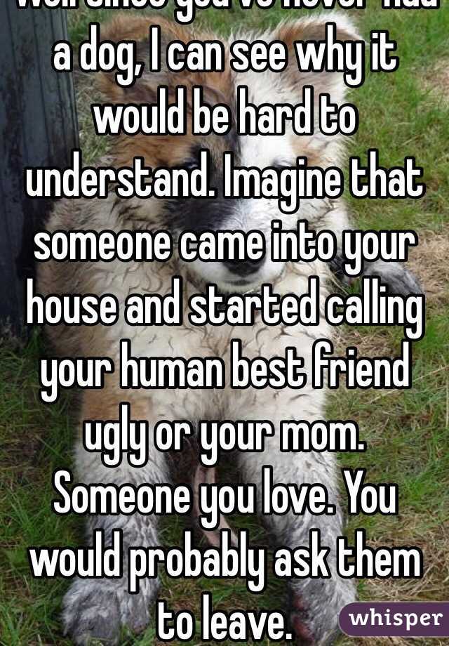 Well since you've never had a dog, I can see why it would be hard to understand. Imagine that someone came into your house and started calling your human best friend ugly or your mom. Someone you love. You would probably ask them to leave. 