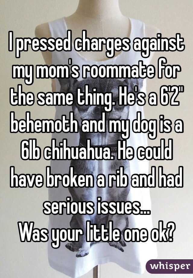 I pressed charges against my mom's roommate for the same thing. He's a 6'2" behemoth and my dog is a 6lb chihuahua. He could have broken a rib and had serious issues... 
Was your little one ok?