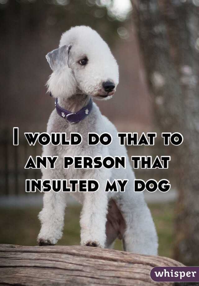 I would do that to any person that insulted my dog