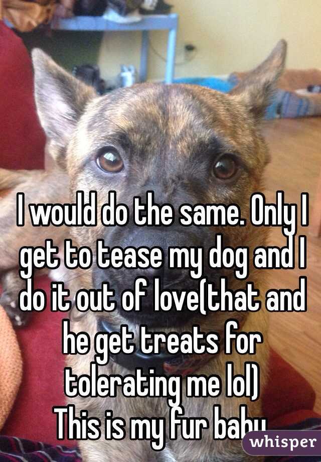 I would do the same. Only I get to tease my dog and I do it out of love(that and he get treats for tolerating me lol) 
This is my fur baby. 