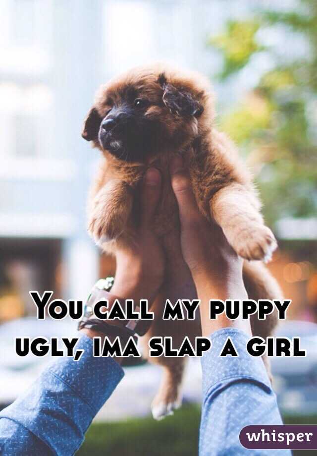 You call my puppy ugly, ima slap a girl