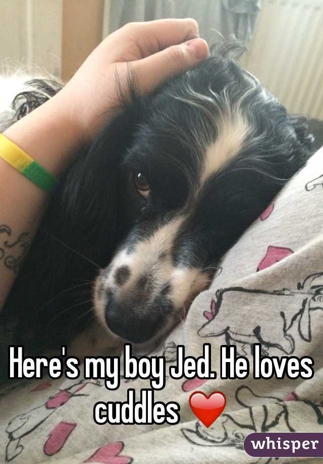 Here's my boy Jed. He loves cuddles ❤️