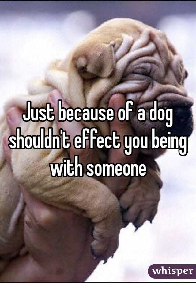 Just because of a dog shouldn't effect you being with someone