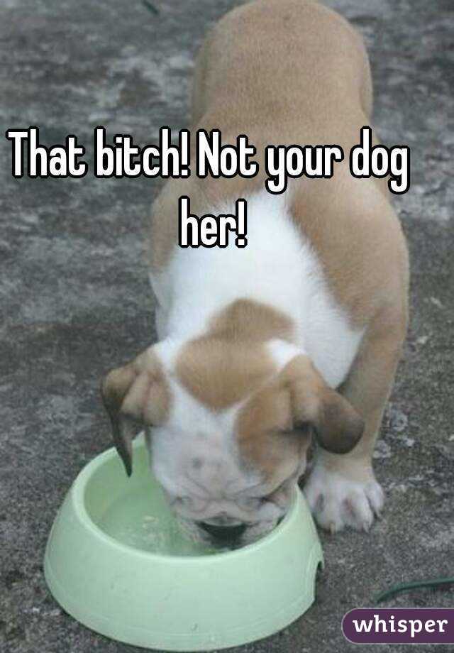 That bitch! Not your dog her!