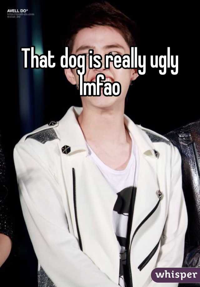 That dog is really ugly lmfao