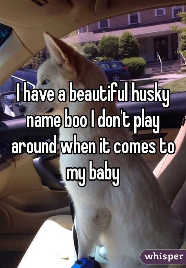 I have a beautiful husky name boo I don't play around when it comes to my baby 