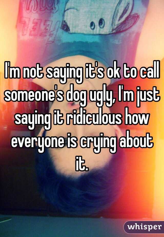 I'm not saying it's ok to call someone's dog ugly, I'm just saying it ridiculous how everyone is crying about it. 