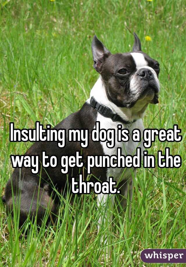 Insulting my dog is a great way to get punched in the throat.