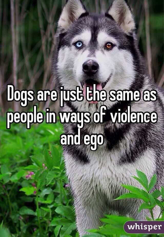 Dogs are just the same as people in ways of violence and ego