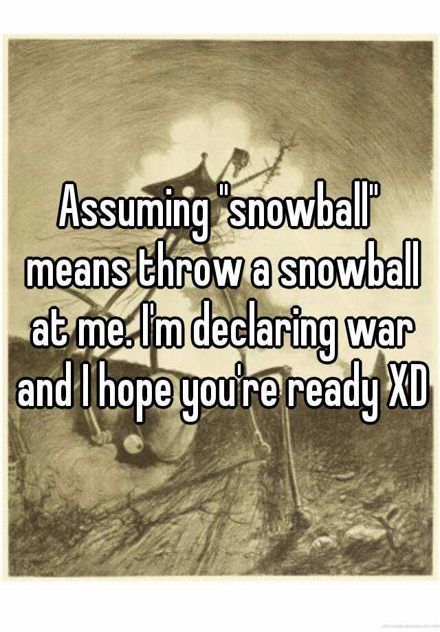 assuming-snowball-means-throw-a-snowball-at-me-i-m-declaring-war-and-i-hope-you-re-ready-xd