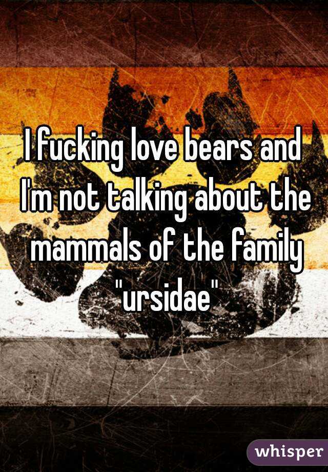 I fucking love bears and I'm not talking about the mammals of the family "ursidae"
