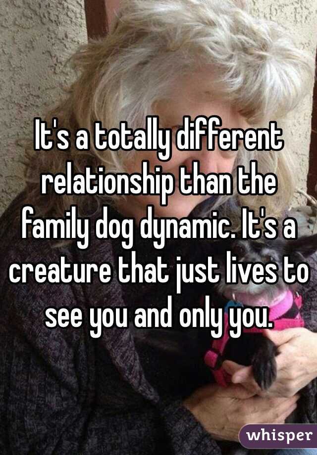 It's a totally different relationship than the family dog dynamic. It's a creature that just lives to see you and only you. 