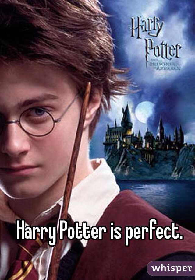 Harry Potter is perfect. 