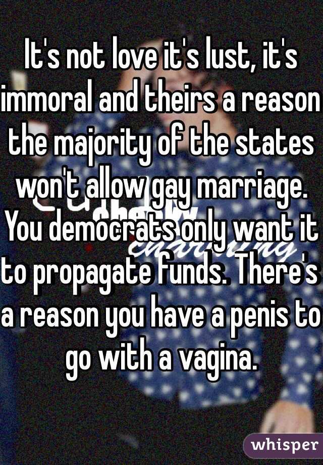 It's not love it's lust, it's immoral and theirs a reason the majority of the states won't allow gay marriage. You democrats only want it to propagate funds. There's a reason you have a penis to go with a vagina. 
