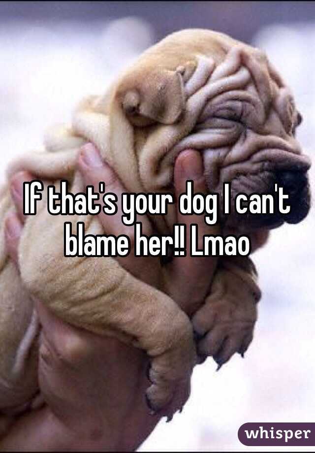 If that's your dog I can't blame her!! Lmao