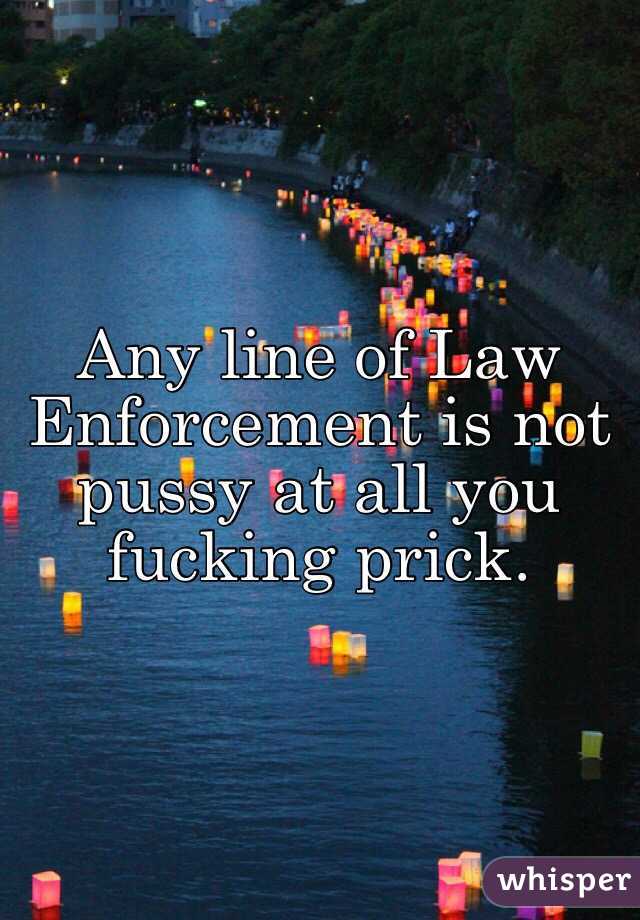 Any line of Law Enforcement is not pussy at all you fucking prick. 