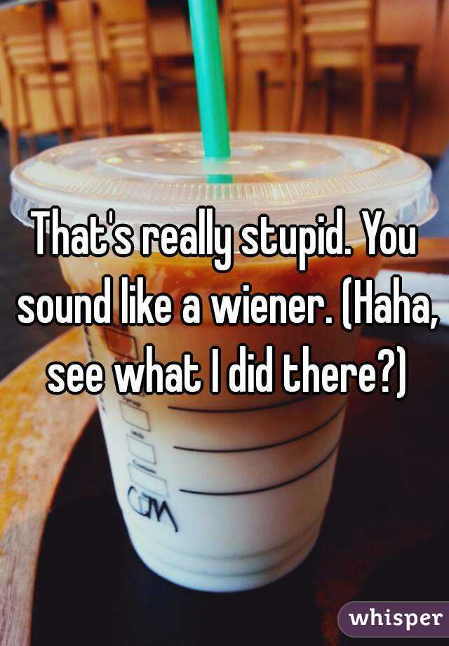 That's really stupid. You sound like a wiener. (Haha, see what I did there?)