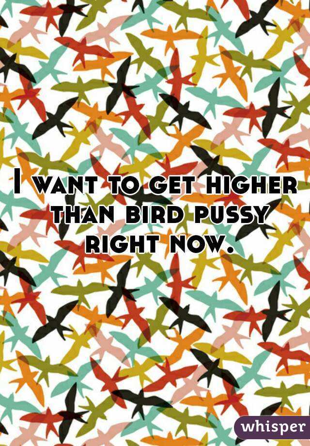 I want to get higher than bird pussy right now.