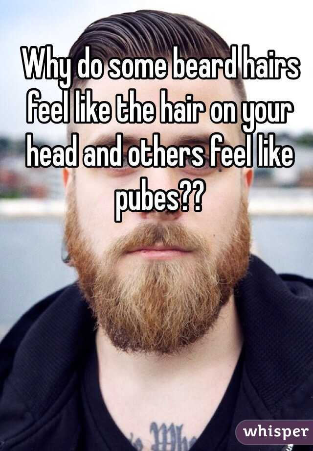 Why do some beard hairs feel like the hair on your head and others feel like pubes??