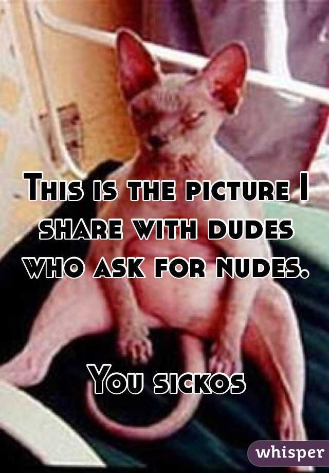 This is the picture I share with dudes who ask for nudes. 


You sickos