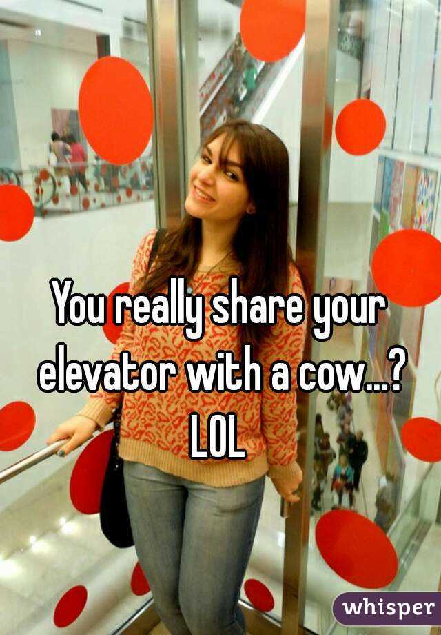 You really share your elevator with a cow...?
LOL