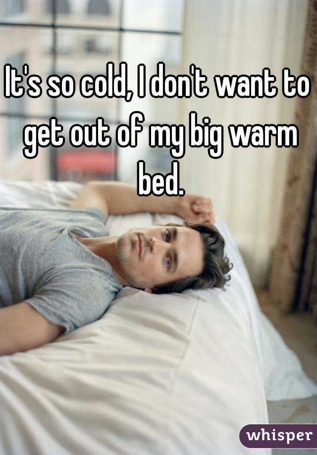 It's so cold, I don't want to get out of my big warm bed.