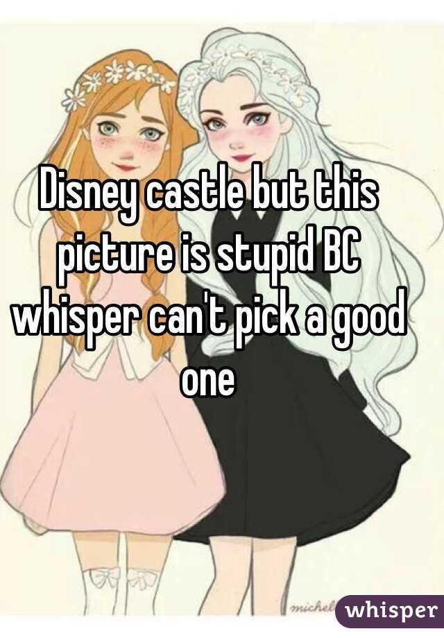Disney castle but this picture is stupid BC whisper can't pick a good one 