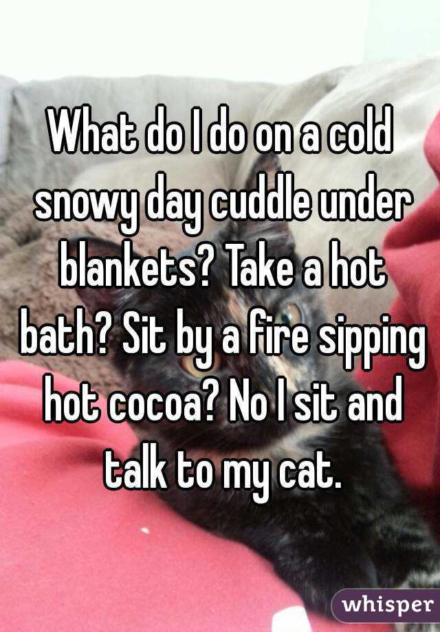 What do I do on a cold snowy day cuddle under blankets? Take a hot bath? Sit by a fire sipping hot cocoa? No I sit and talk to my cat.