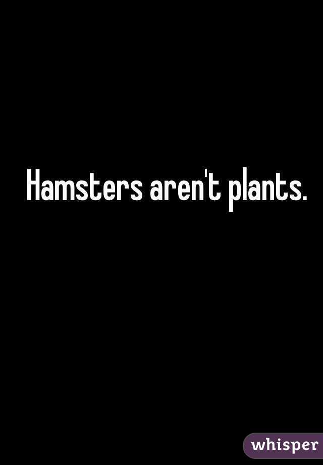 Hamsters aren't plants. 