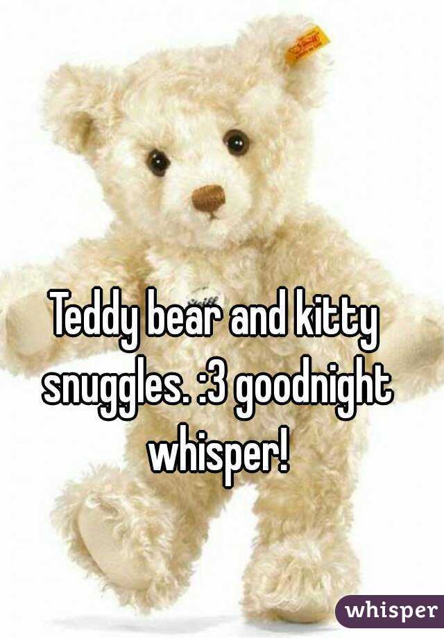 Teddy bear and kitty snuggles. :3 goodnight whisper!