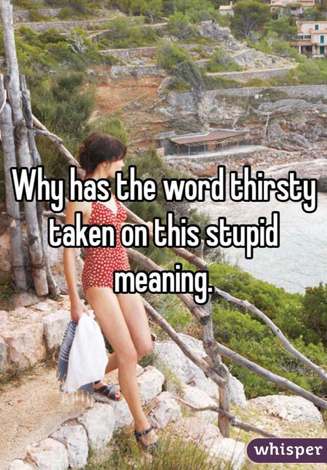 Why has the word thirsty taken on this stupid meaning. 