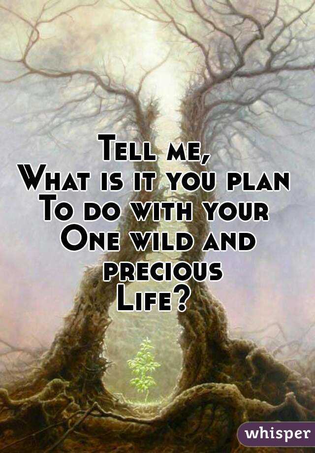 Tell me, 
What is it you plan 
To do with your 
One wild and precious
Life? 