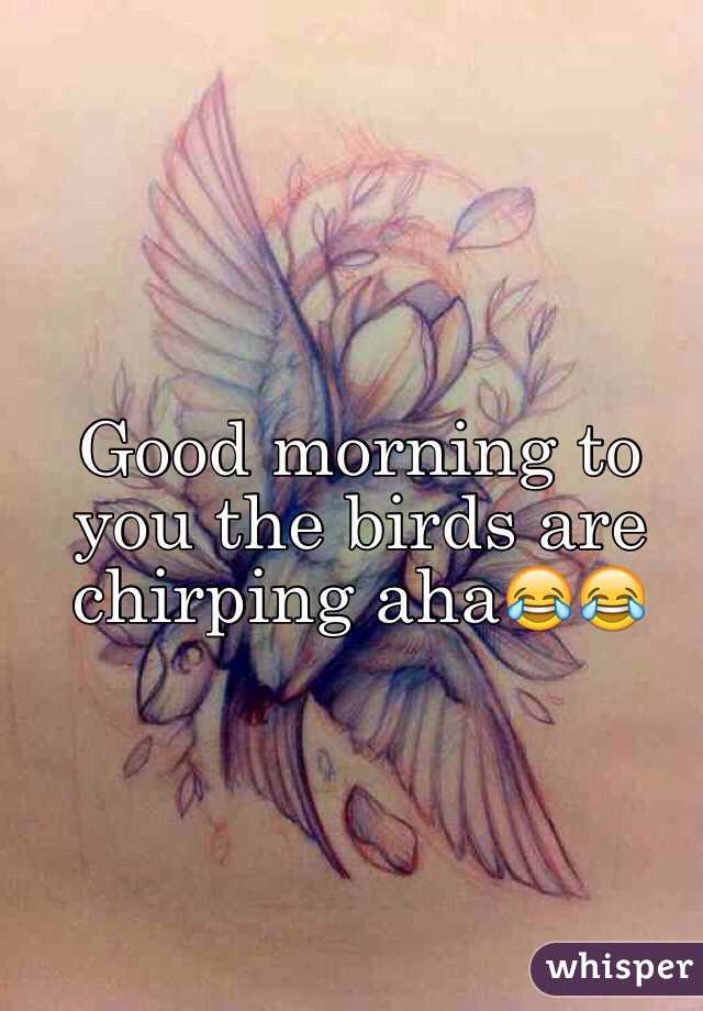 Good morning to you the birds are chirping aha😂😂

